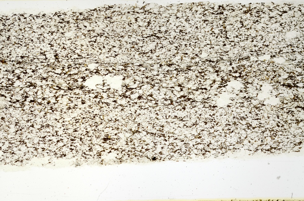 Plane Polarized, S69220