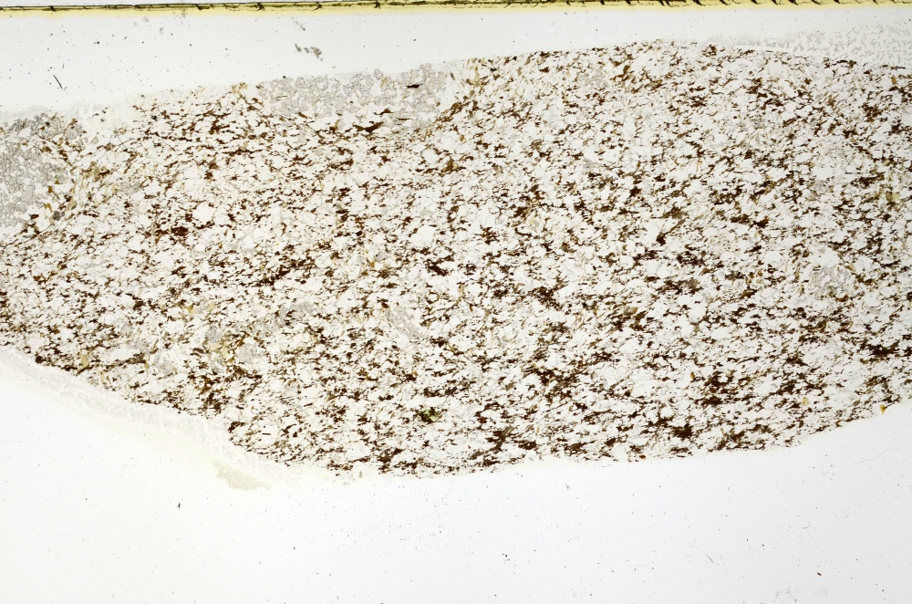 Plane Polarized, S69221
