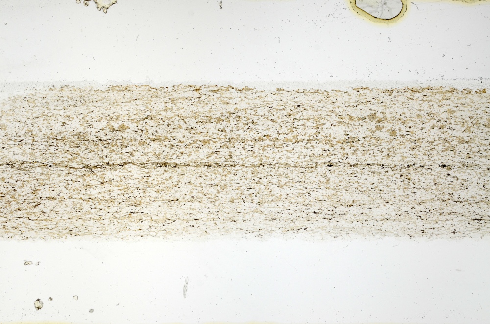 Plane Polarized, S69226