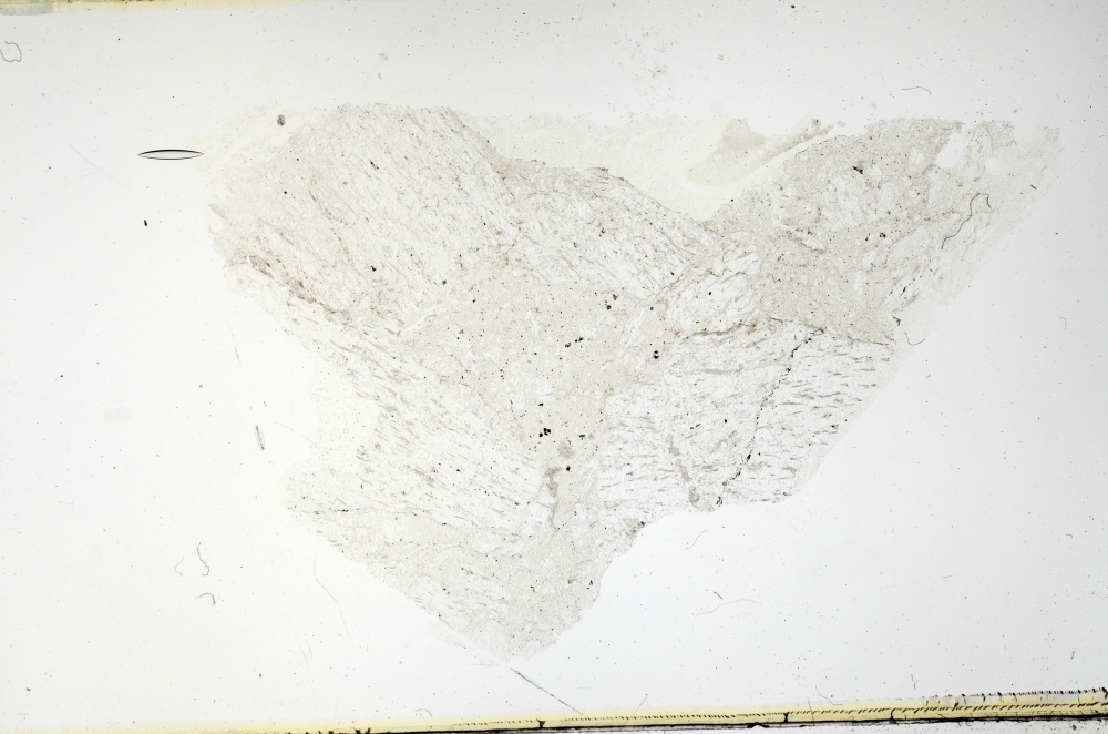 Plane Polarized, S69229