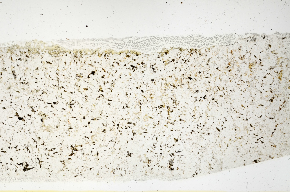 Plane Polarized, S69232