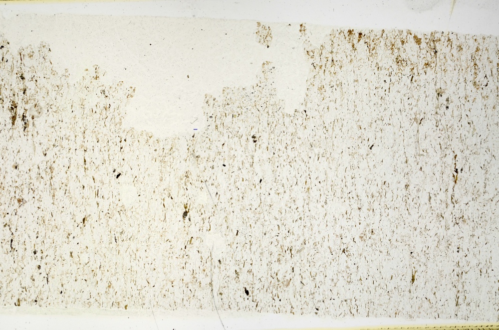 Plane Polarized, S69233