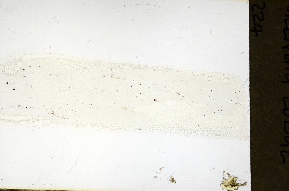 Plane Polarized, S69234