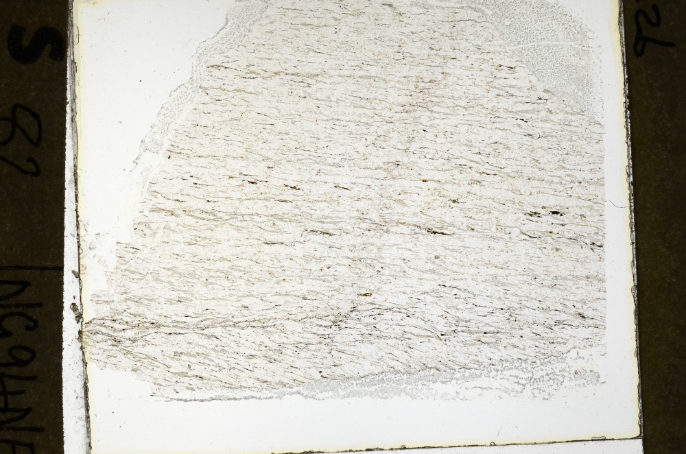 Plane Polarized, S69235