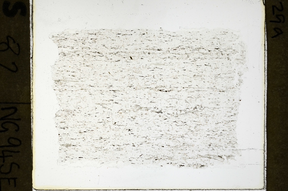 Plane Polarized, S69237