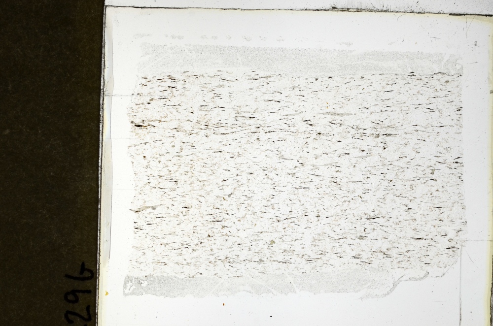 Plane Polarized, S69238