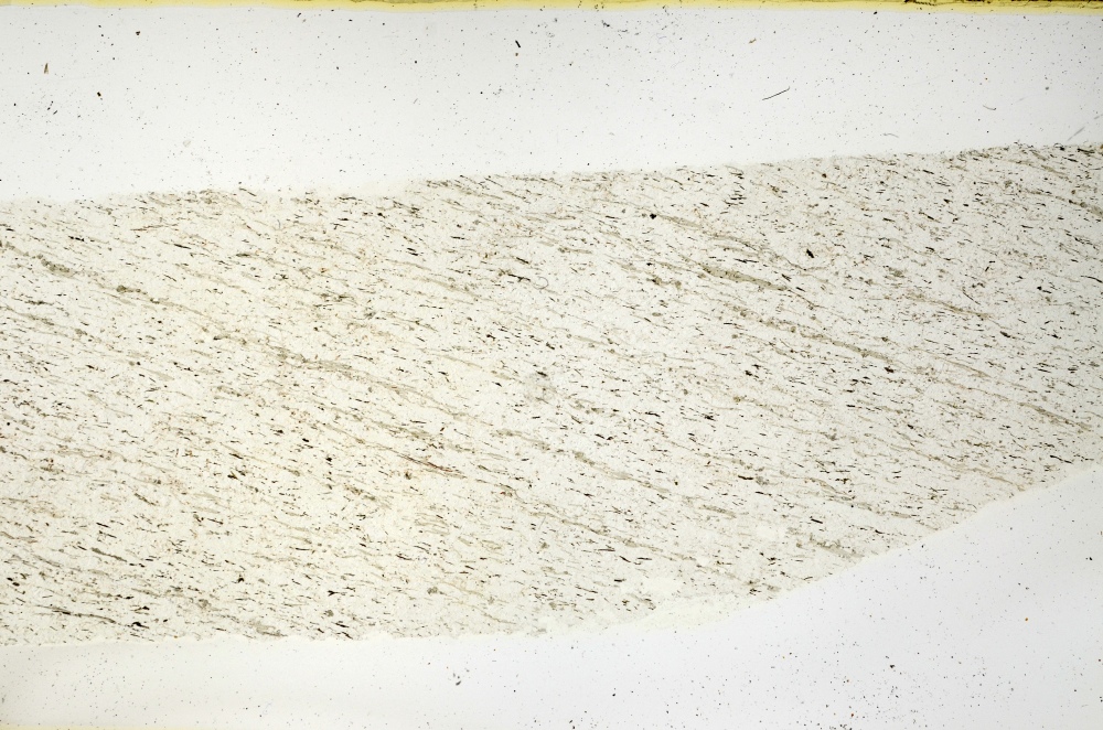 Plane Polarized, S69239