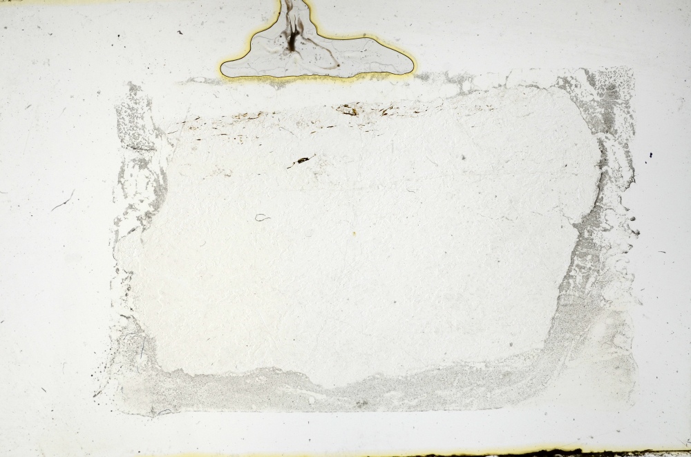 Plane Polarized, S69241