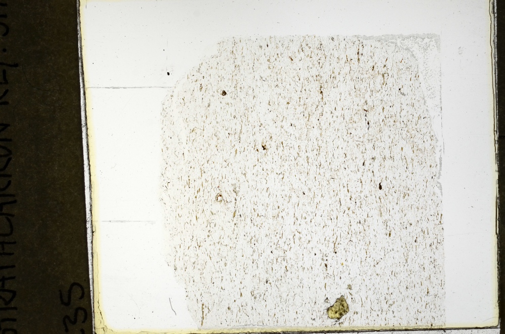 Plane Polarized, S69242