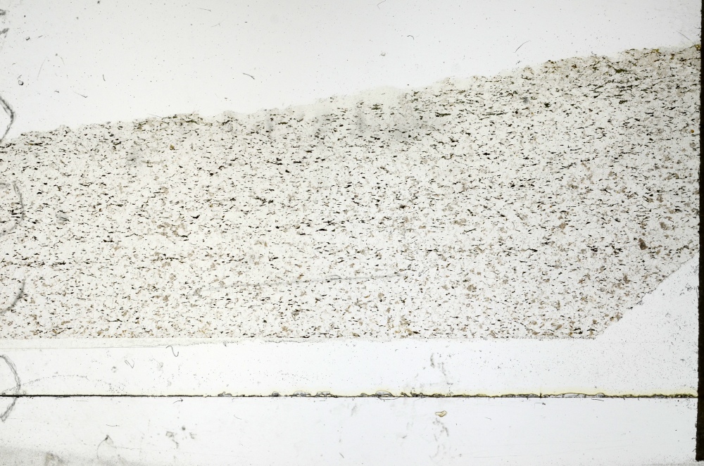 Plane Polarized, S69244