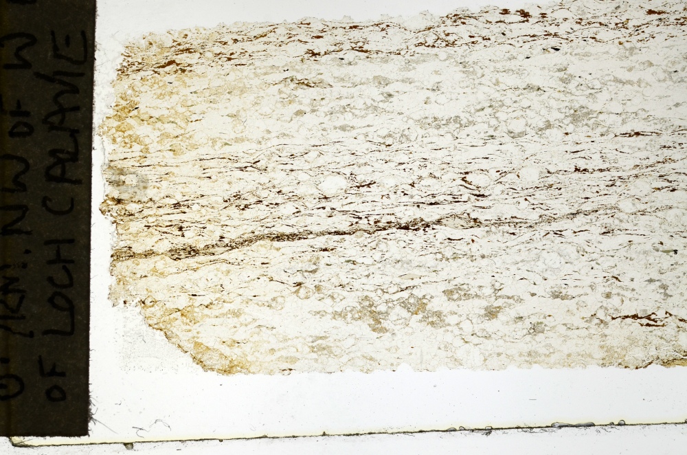 Plane Polarized, S69245