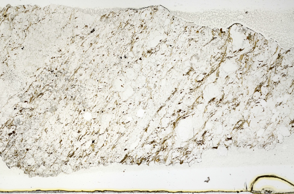 Plane Polarized, S69249