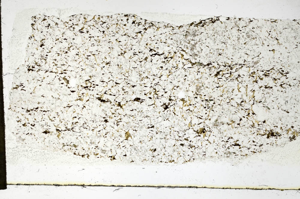 Plane Polarized, S69250