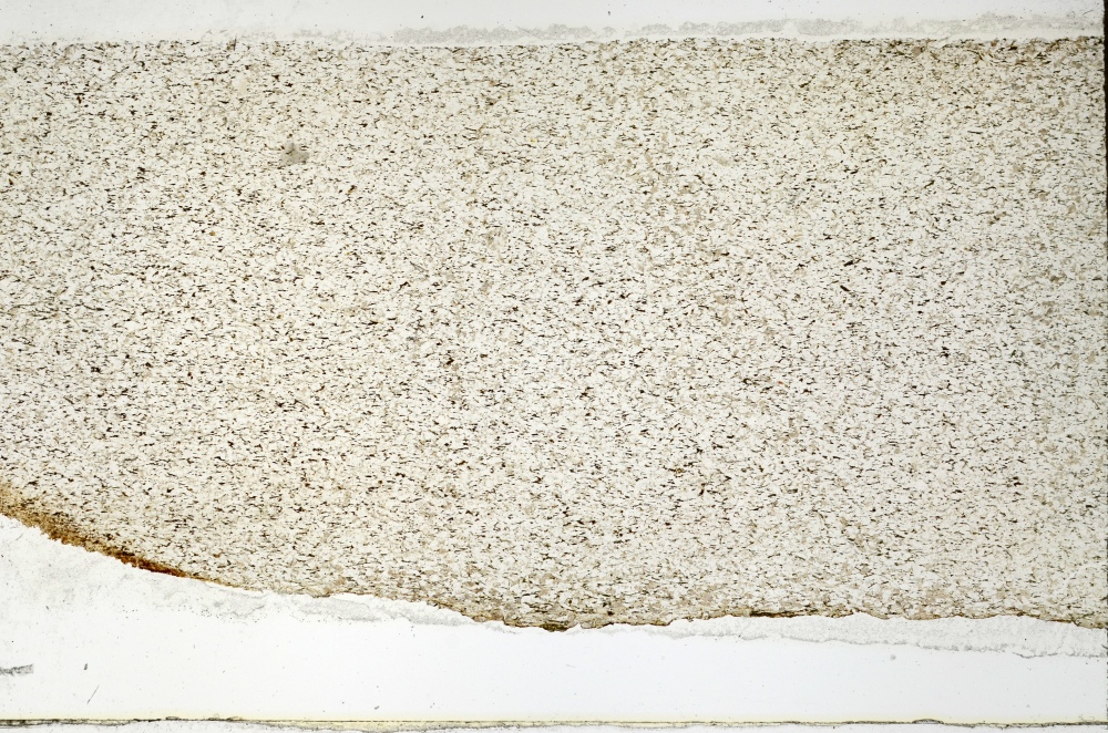 Plane Polarized, S69256