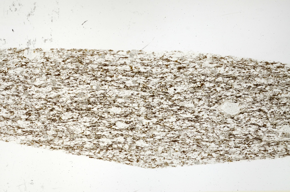 Plane Polarized, S69262