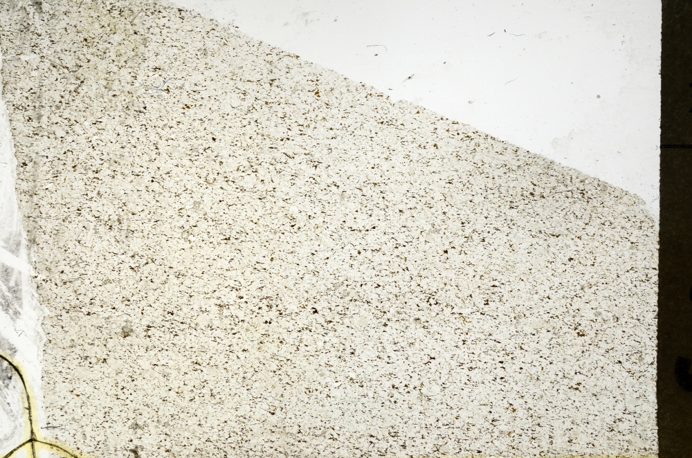 Plane Polarized, S69263