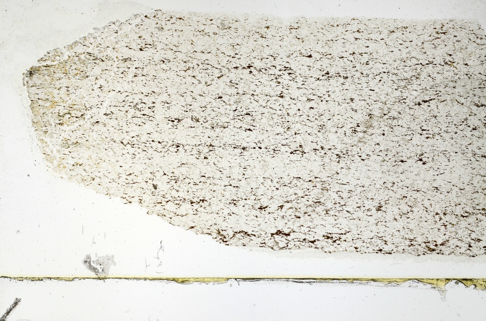 Plane Polarized, S69265