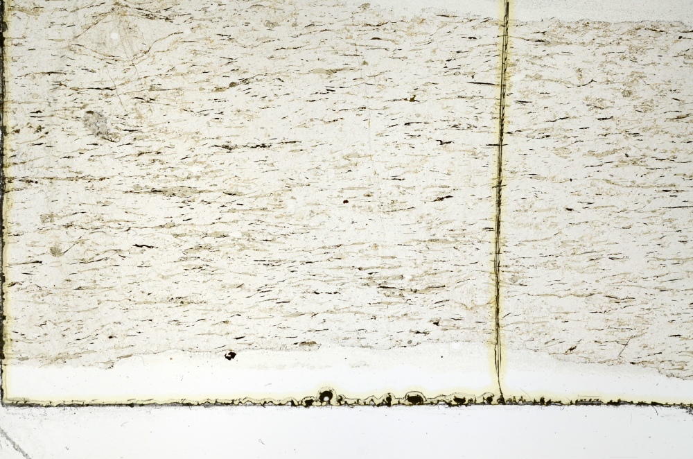 Plane Polarized, S69267