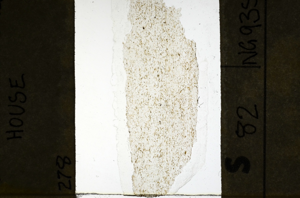 Plane Polarized, S69269