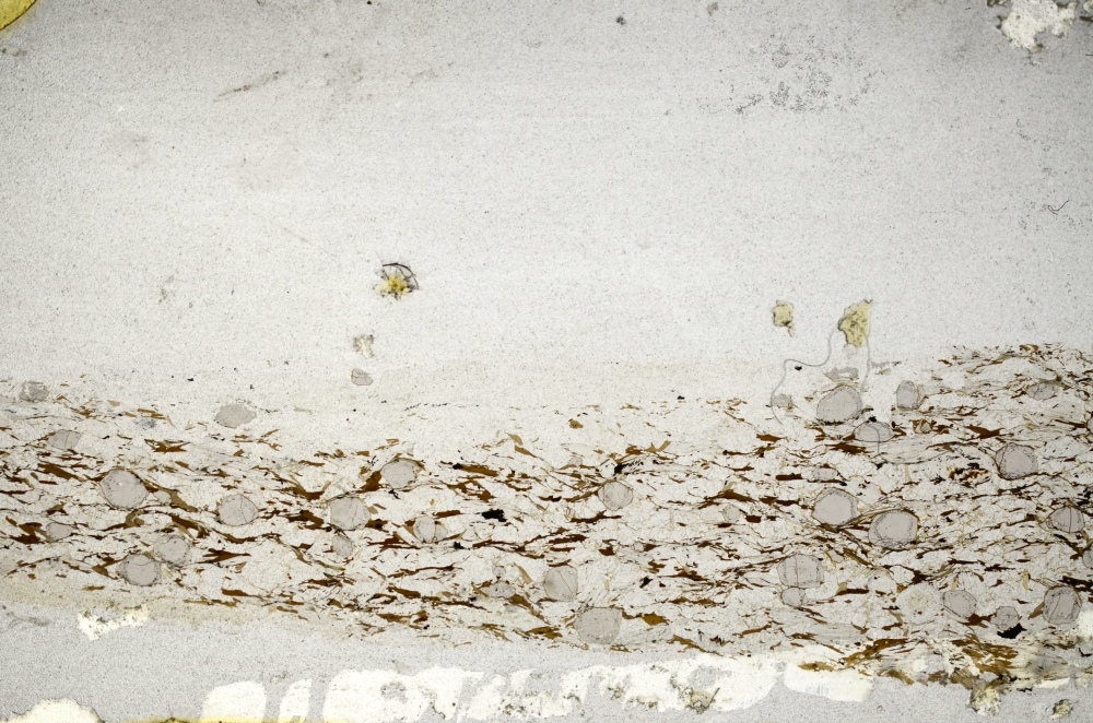 Plane Polarized, S69273