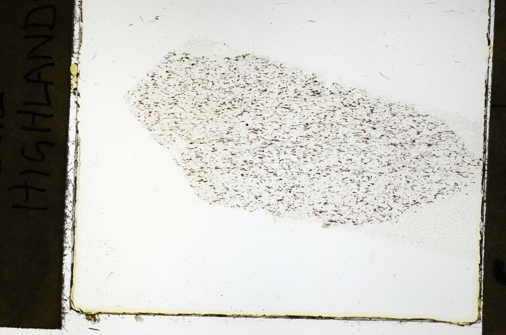 Plane Polarized, S69275