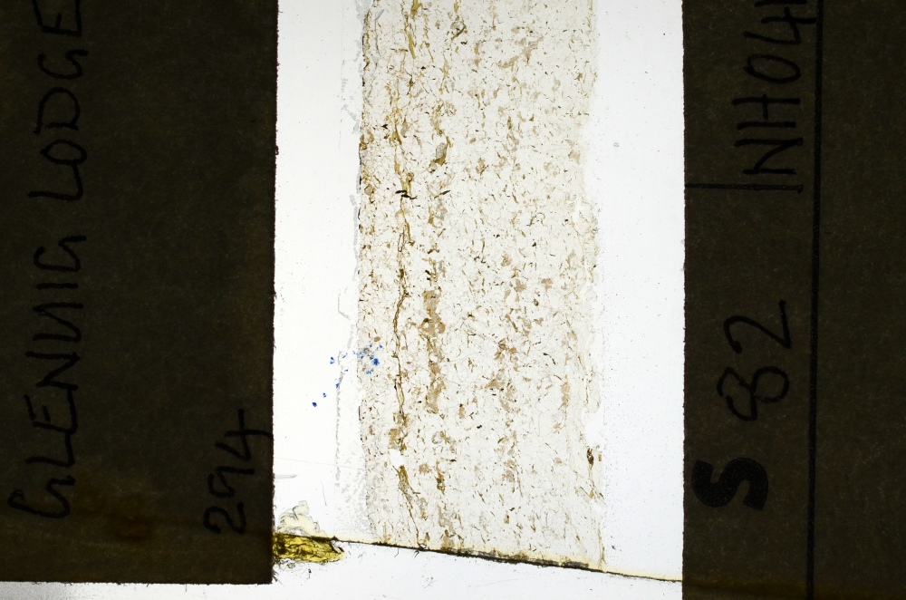 Plane Polarized, S69276