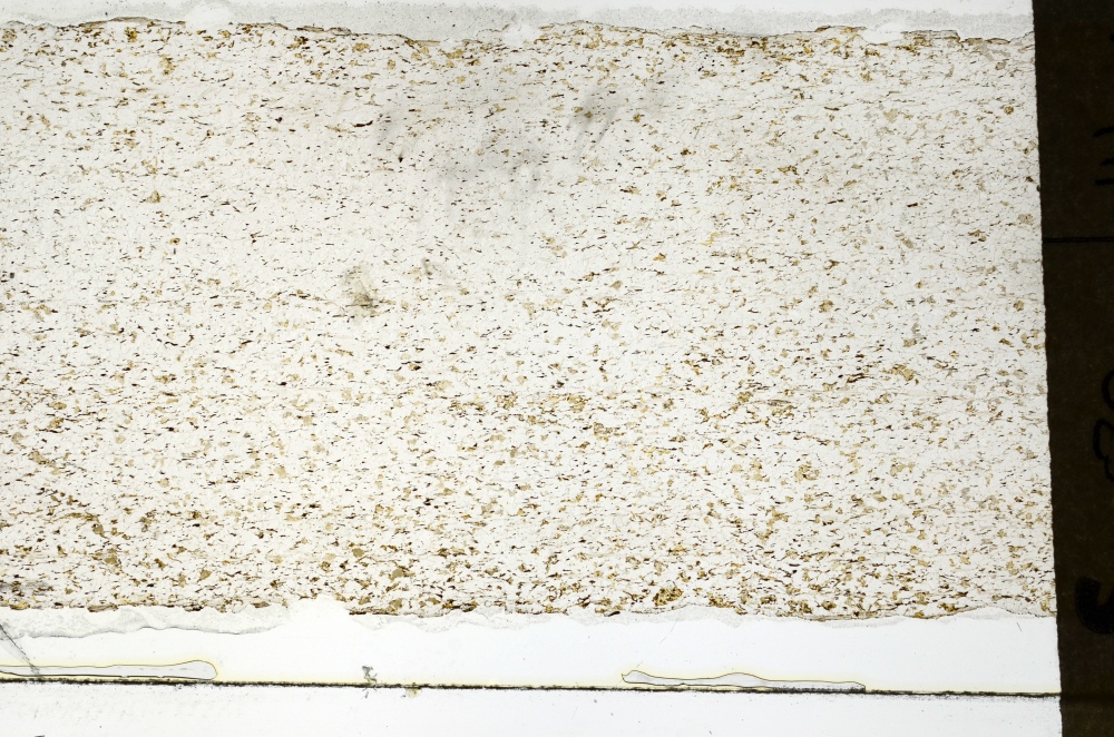 Plane Polarized, S69277