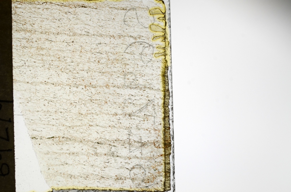 Plane Polarized, S69279