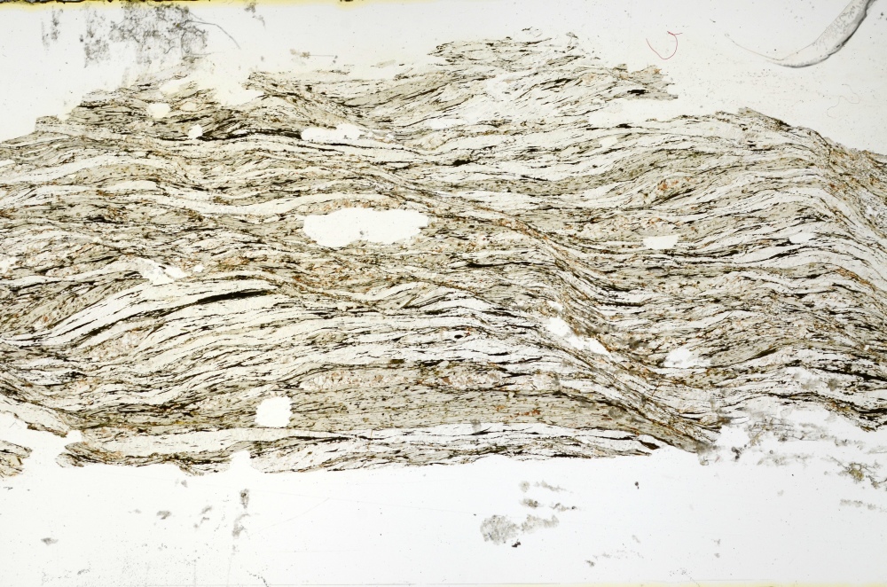 Plane Polarized, S69280