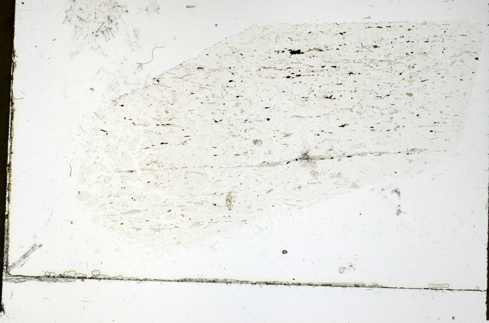 Plane Polarized, S69281