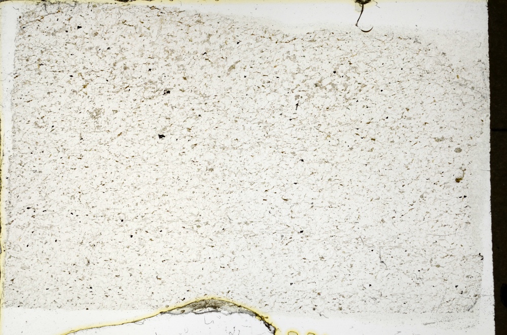 Plane Polarized, S69282