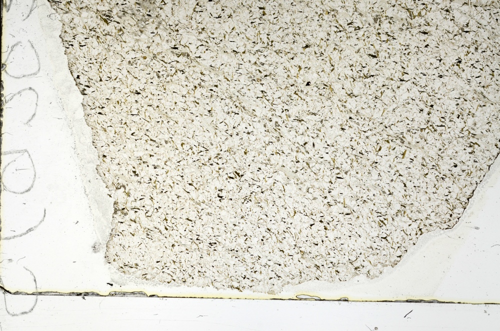 Plane Polarized, S69283