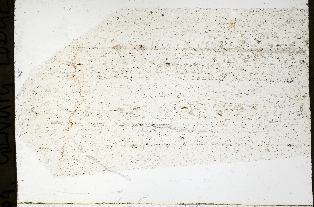 Plane Polarized, S69285