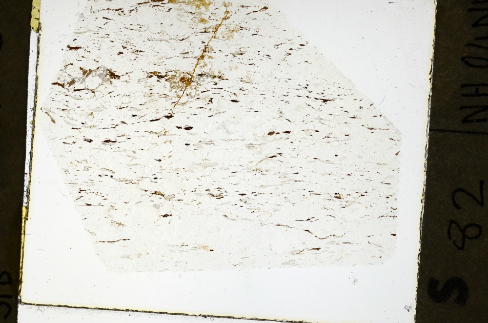 Plane Polarized, S69286