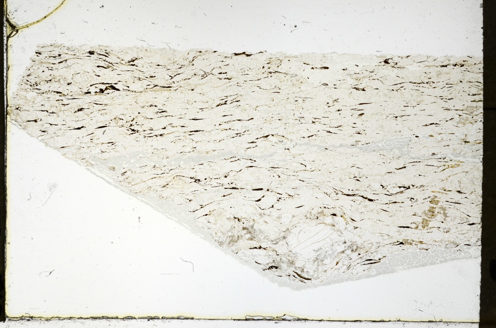 Plane Polarized, S69287