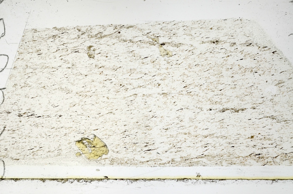 Plane Polarized, S69290