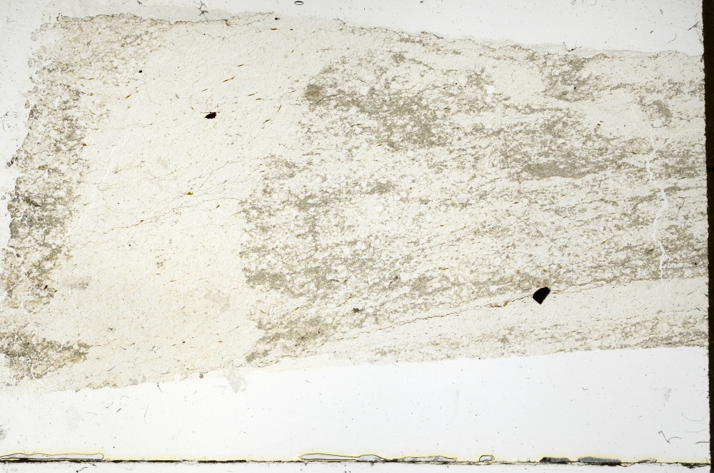 Plane Polarized, S69293