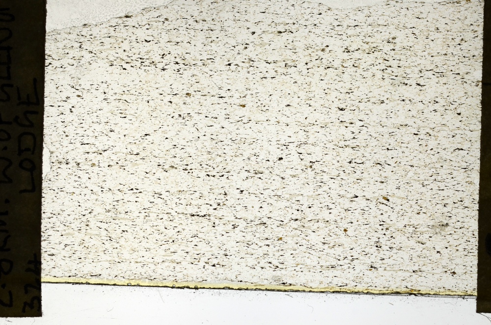 Plane Polarized, S69296