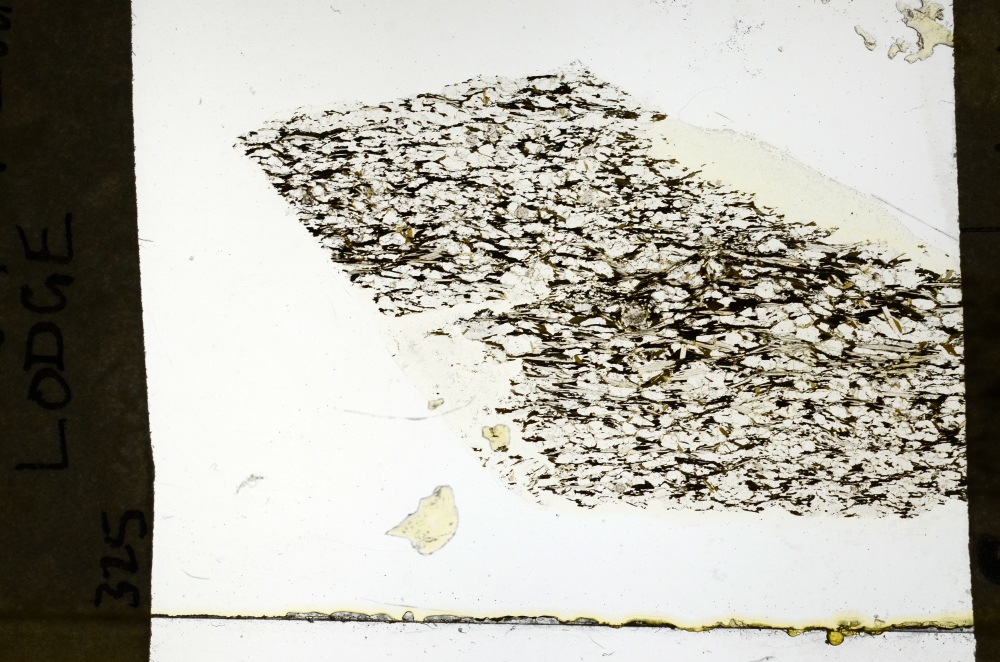 Plane Polarized, S69297