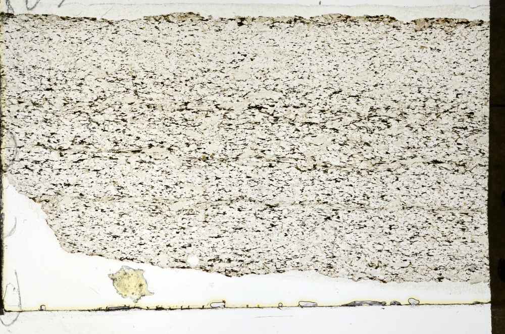 Plane Polarized, S69298