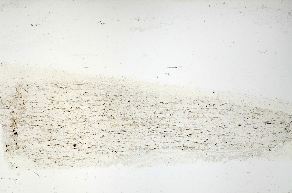 Plane Polarized, S69299