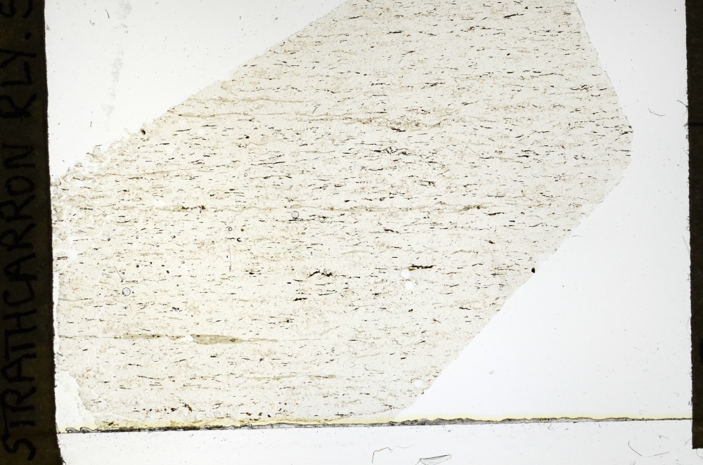 Plane Polarized, S69300