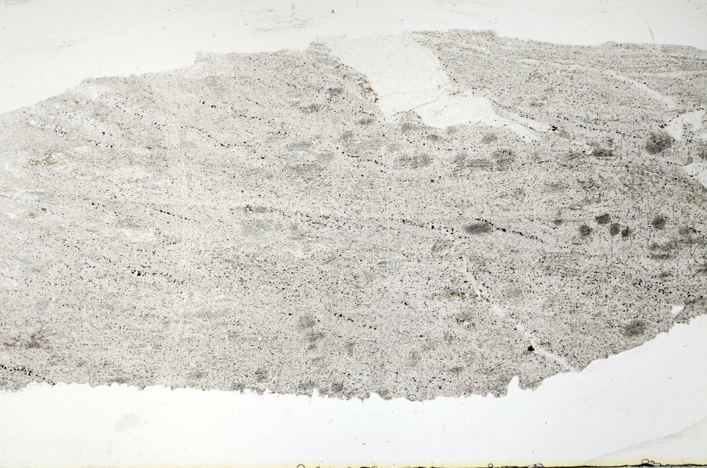 Plane Polarized, S69312