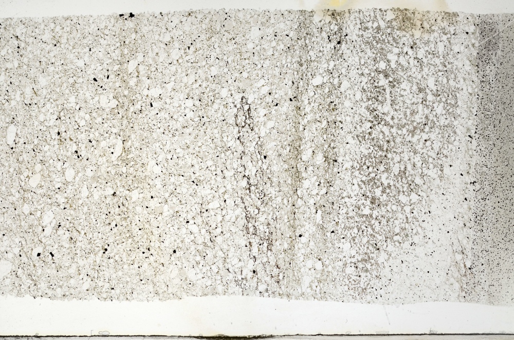 Plane Polarized, S69314