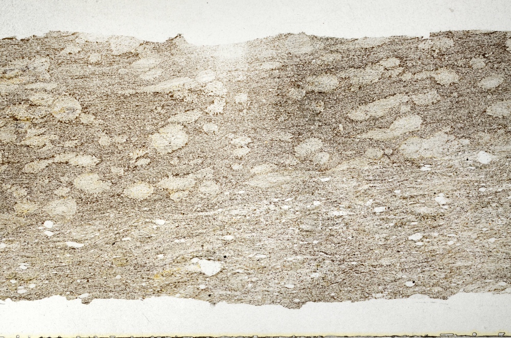 Plane Polarized, S69316