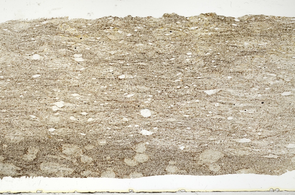 Plane Polarized, S69317