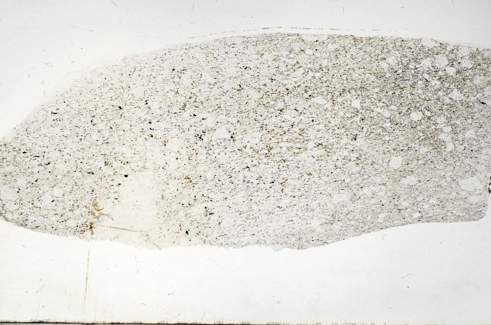 Plane Polarized, S69318