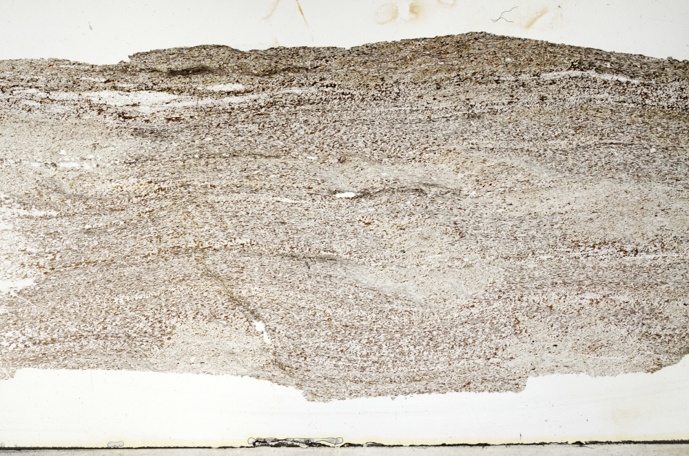 Plane Polarized, S69319