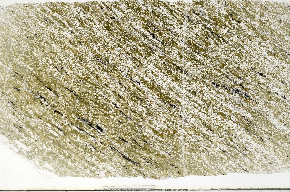 Plane Polarized, S69321