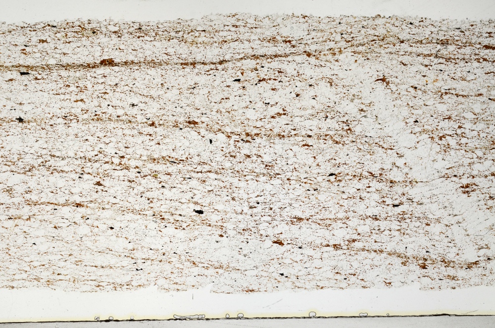 Plane Polarized, S69323